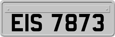 EIS7873