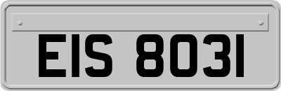 EIS8031