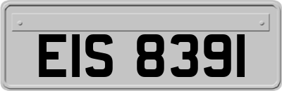 EIS8391