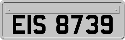 EIS8739
