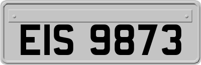 EIS9873
