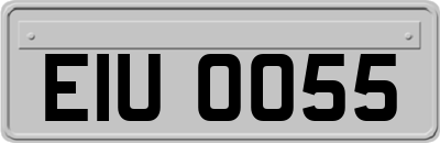 EIU0055