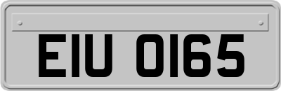 EIU0165