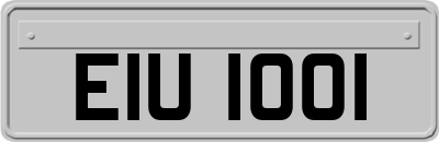 EIU1001