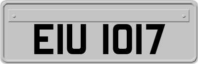 EIU1017