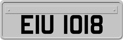 EIU1018