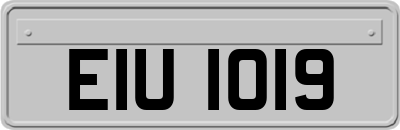 EIU1019