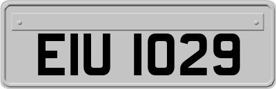 EIU1029