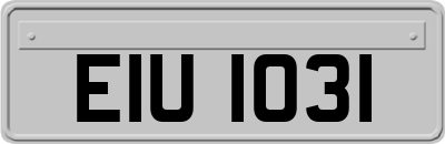 EIU1031