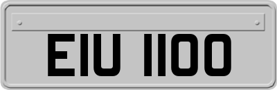 EIU1100