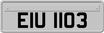 EIU1103