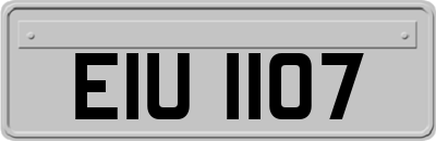 EIU1107