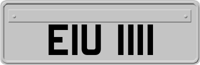 EIU1111