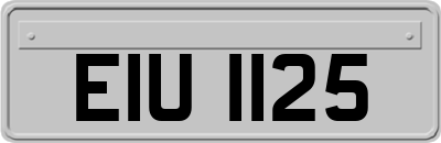 EIU1125