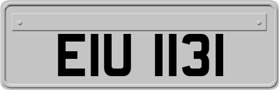 EIU1131