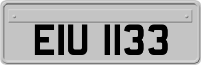 EIU1133