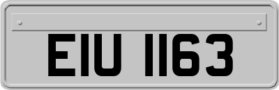 EIU1163