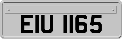 EIU1165