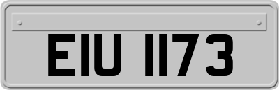 EIU1173