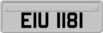 EIU1181