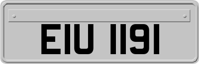 EIU1191