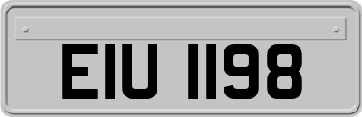 EIU1198