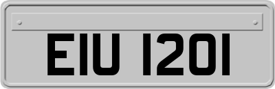 EIU1201