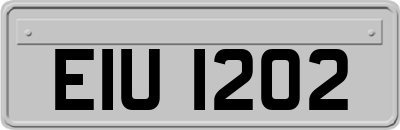 EIU1202