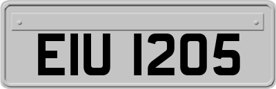 EIU1205