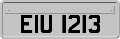 EIU1213