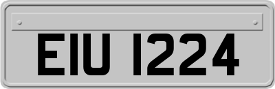 EIU1224