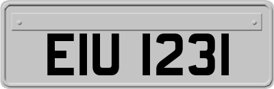 EIU1231