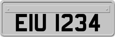 EIU1234