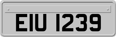 EIU1239