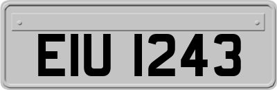 EIU1243