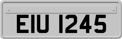 EIU1245