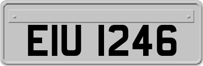 EIU1246