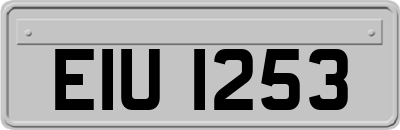 EIU1253
