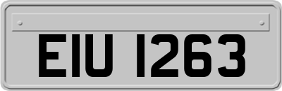 EIU1263