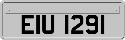 EIU1291