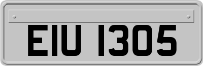 EIU1305