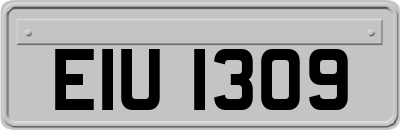 EIU1309