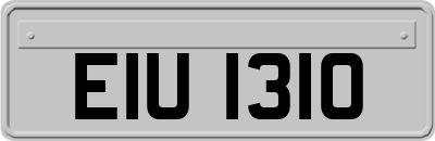 EIU1310