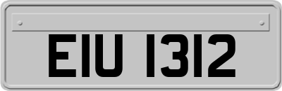 EIU1312