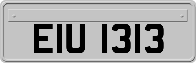 EIU1313