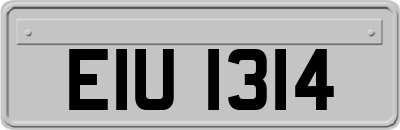 EIU1314