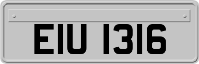 EIU1316