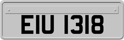 EIU1318