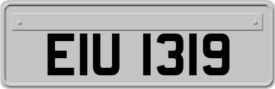EIU1319