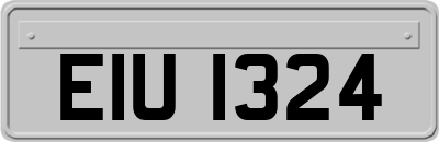 EIU1324